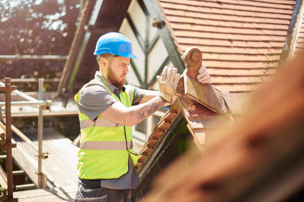 Best Metal Roofing Contractor  in North Lynnwood, WA